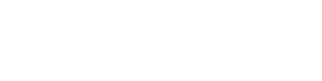 logo-dnp-project